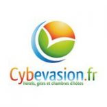 Cybevasion