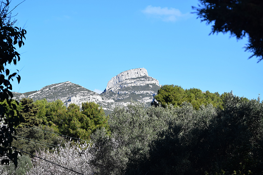 The Bastide des Escourches